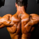 Os melhores exercícios para o seu treino de ombro.