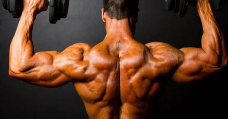 Os melhores exercícios para o seu treino de ombro.